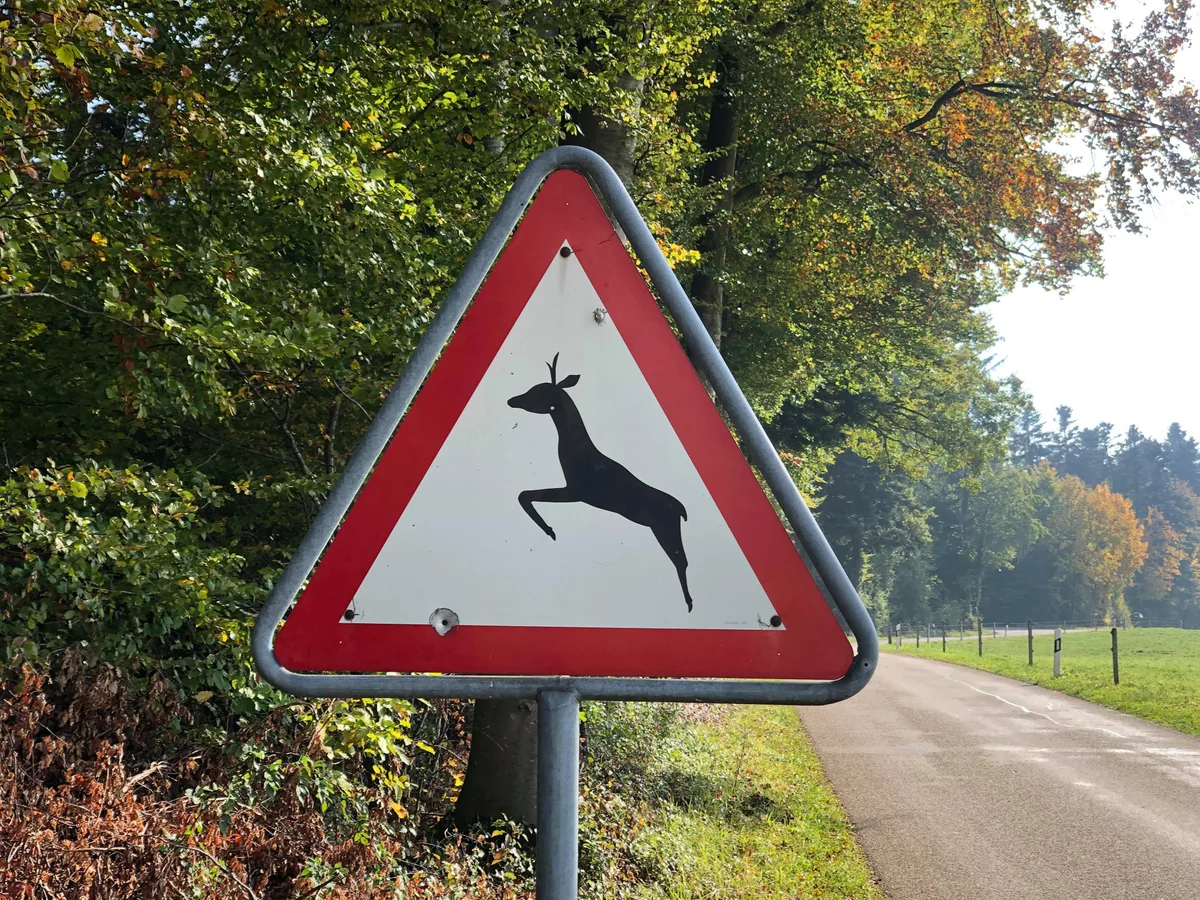 Ein dreieckiges Warnschild mit einem Reh in der Mitte steht am Strassenrand.